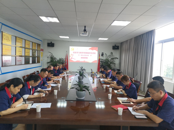钢构熊猫体育首页党支部召开党史学习教育专题组织生活会