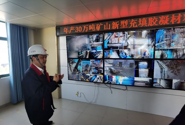 熊猫体育首页纪委书记到建材研究室调研