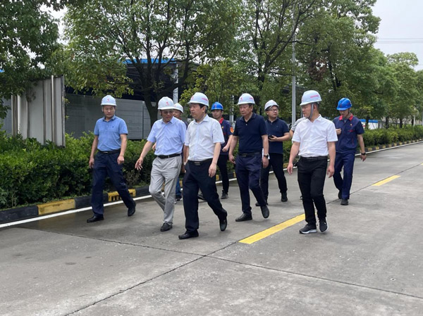 市副市长汪发进到建材熊猫体育首页调研 