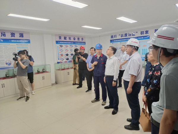省生态环境厅到建材熊猫体育首页视察