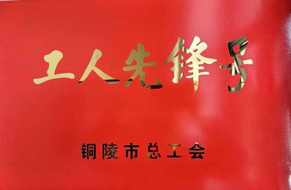 钢构熊猫体育首页荣获市级荣誉