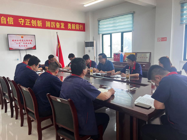 王伍升参加建材熊猫体育首页党支部主题党日活动