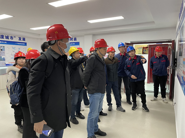 国家生态环境部到建材熊猫体育首页调研 