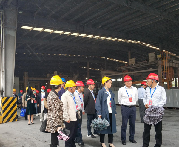 市人大代表到建材熊猫体育首页调研