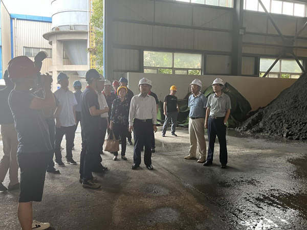 省生态环境厅到建材熊猫体育首页视察