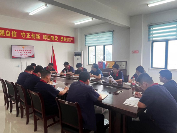 王伍升参加建材熊猫体育首页党支部主题党日活动